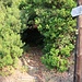 hier geht es ab in die Wildnis auf dem Weg 11