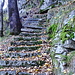 Treppen