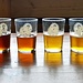 Beer Tasting in der West Berkshire Brewery
