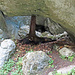 Eine Höhle in der Combe de Biaufond, vermutlich entstanden aus einem Bergsturz. Sie erinnerte mich an die Bärenhöhle.