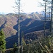 Questi invece sono i boscosi versanti della Val di Crotta (tributaria della Val di Muggio – CH), dove un paio di anni fa assistetti all’abbattimento di un cervo in territorio svizzero. Nel cerchietto giallo  il Rifugio Murelli.