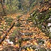 herbstlich gefärbter Aufstiegsbeginn