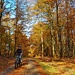 Hohe Mark Gegend