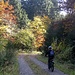 Die Tour geht meistens durch Buchenwälder