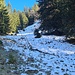 Erster Schnee, weiter oben wird es mehr 