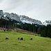 Wunderbarer Blick auf den östlichen Teil der nördlichen Alpsteinkette beim Start in Lehmen