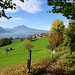 ein Bilderbuch-Herbsttag beginnt oberhalb Weggis - mit Vierwaldstättersee- und Pilatusblick