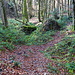 weiter runter ins Tal, steil und sehr unangenehm durch den schmierigen Untergrund unter den Blättern