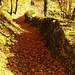 auf dem Weg ins Dorf