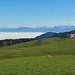 herrliches Panorama vom Kaien - St. Anton Höhenweg über das Rheintal nach Vorarlberg