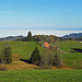 Aussicht Richtung unteres Rheintal und bis zum Bodensee