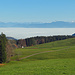 herrliches Panorama vom Kaien - St. Anton Höhenweg über das Rheintal nach Vorarlberg [