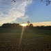 Auf dem Weg zurück