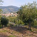 Riva Trigoso