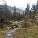 Schöne Pfade im Abstieg in der Südflanke des Güggisgrats