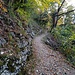 Im Aufstieg zwischen Beatenbucht und Beatenberg