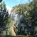 Blick auf die markanten Kalkwände am Niederhorn im Bereich Gemschiflue