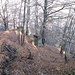 Tra i boschi spesso si trovano anche le testimonianze delle passate attività di queste valli, come in questo caso, dove si vede il basamento di uno dei piloni della teleferica che trasportava il legname tagliato da questi versanti alla opposta Val d’Ossola.