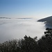 Blick vom Aussichtsturm "Siebenburgenblick", nicht auf Burgen, sondern auf das weiße Nebel-Meer.