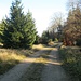 Abwärts vom Franzosenkopf nach Osten, zunächst auf einem gut ausgebauten Weg, ...