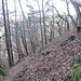 Der schmale Pfad zu den Felsen geht am steilen Hang entlang, ...