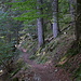 Auf dem Weg zu P.1012. 