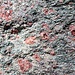 ...bestehen aus dem seltenen Gestein Eklogit und zeigen die typischen roten und grünen kristallinen Einschlüsse.