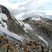 Blick Richtung Steinlimigletscher, darüber Vorder Tierberg-Nordostwand, in der Bildmitte Steilimigletscher und in der rechten Bildhälfte der Giglistock