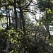 Rückblick zum Chänzeli
