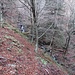 Rustikal verlauft der Steig durch den steilen, bewaldeten Hang.