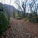 <b>Prima di partire con la bici visito i ruderi del castello, raggiungibile in pochi minuti di cammino lungo un sentiero che si addentra nel bosco dal lato ovest, vicino all’argine della Moesa.<br />Il castello è stato edificato in zona elevata, su una frana postglaciale. Una volta terminata la pressione del ghiacciaio sui fianchi della valle, i grandi blocchi sono caduti ostruendo il passaggio della Moesa. Questo ha creato un grande lago che occupava la piana di Verdabbio.</b>