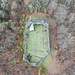 <b>I ruderi del Castello di Norantola visti da 70 m di altezza.</b>