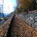 <b>Alle 9:20 inizio la pedalata. Da Norantola percorro il ponte sulla Moesa, quindi mi immetto sullo Stradon fino ai Piani di Verdabbio (395 m). Da questo crocicchio imbocco la bellissima Stráda di Pián, in leggera salita (ideale per la bici). Alla sua destra vediamo la suggestiva mulattiera di Verdabbio, restaurata pochi mesi fa. Le prime notizie sulla mulattiera risalgono al 1384, quindi a ben 637 anni fa, ma la via di comunicazione potrebbe anche essere precedente. </b>