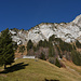 wunderschöne Alp - die Laubegg...