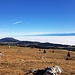 Grosszügige Weite: Blick vom Chasseron über das Nebelmeer zu den Alpen. Aber: Wo sind die Pferde auf den Juraweiden?