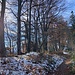 Weiterweg Richtung Grosseggspitz