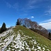 Kuppe vor dem Laubberg
