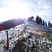 es wird winterlicher - im Zustieg zum Schnebelhorn