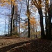 Gratimpressionen nahe Törli