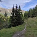 Weg aus dem Verpeiltal