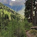 Abstieg ins Kaunertal