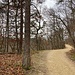 Auf dem Plateau des Geissbergs.<br /><br /><br />