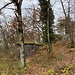 Ruine Besserstein, daneben ein Militärbunker.<br /><br /><br />