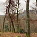Blick hinüber zum Steinbruch Gabenchopf.<br /><br /><br />