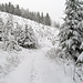schönste Winterlandschaft auf dem Weg zum Kaienspitz