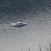 navigazione sul lago di Lugano-