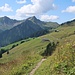 Jetzt geht es wieder hinüber zur Bärenalpe.