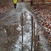 Spiegelung