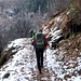Sentiero in Val 'Ambra