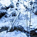 In vista del ponticello che porta al rifugio